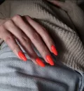 Миниатюра 15