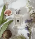 Миниатюра 18