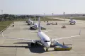 Миниатюра 12