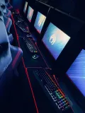 Миниатюра 13