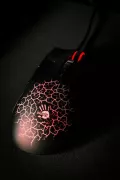 Миниатюра 14
