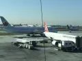 Миниатюра 8