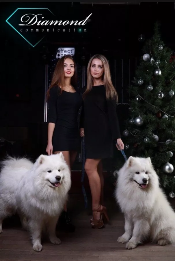 Модельное агентство Diamond Communication в Санкт-Петербурге: Модельное агентство , Промо модели, Я модель, Стать моделью, Показ мод, Подиум, Кастинг, Школа моделей ,