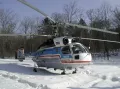 Миниатюра 9