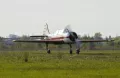 Миниатюра 7