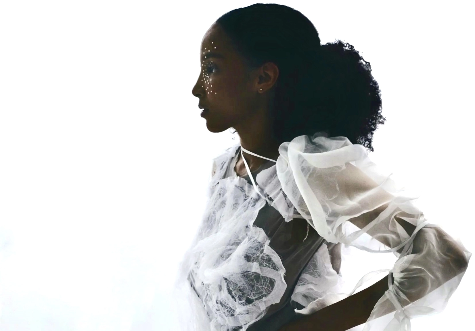 Модельное агентство "Imf model management"