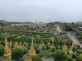 Миниатюра 11