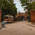 Миниатюра 9