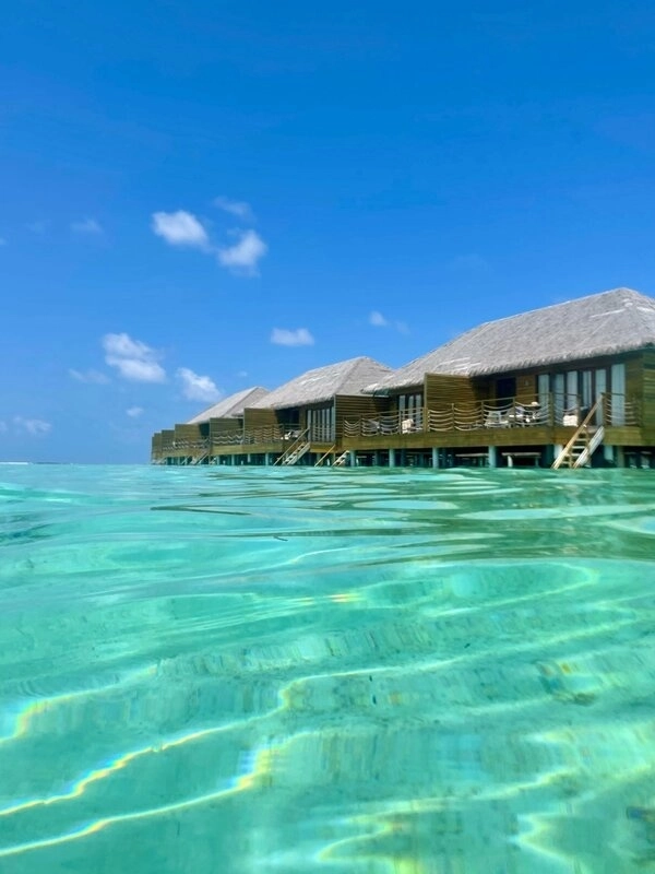 Туристическое агентство Coral travel на Еременко в Ростове-на-Дону: Турагентство, Турфирма, Турист, Туры, Туризм, Горящие туры, Чилим, Отпуск, Путешествие, Море, Travel, Travelling, Sea, Trip, Rest,