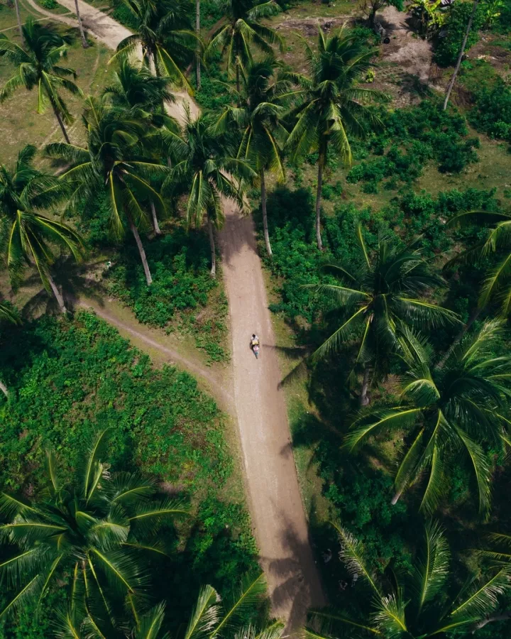 Туристическое агентство Coral travel на Максима Горького в Ростове-на-Дону: Турагентство, Турфирма, Турист, Туры, Туризм, Горящие туры, Чилим, Отпуск, Путешествие, Море, Travel, Travelling, Sea, Trip, Rest,