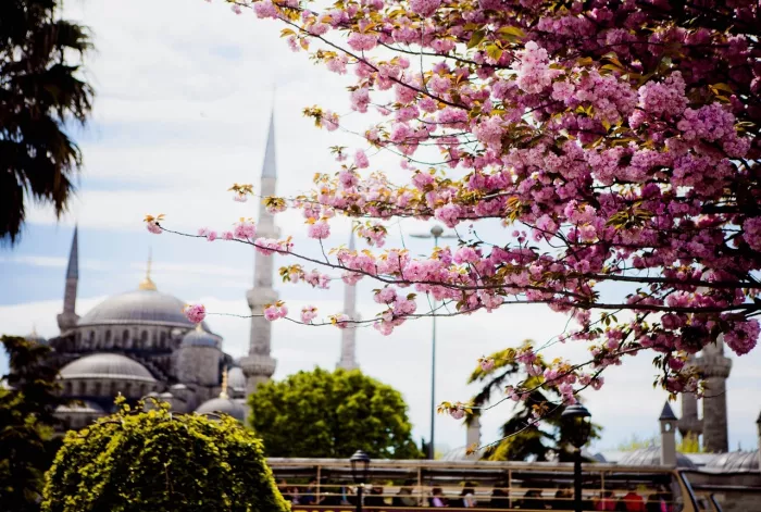 Турагентство AnexTour на Щербакова  в  Екатеринбурге