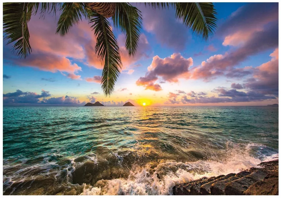 Турагентство Beach travel в Ростове-на-Дону: Турагентство, Турфирма, Турист, Туры, Туризм, Горящие туры, Чилим, Отпуск, Путешествие, Море, Travel, Travelling, Trip, Sea, Rest,