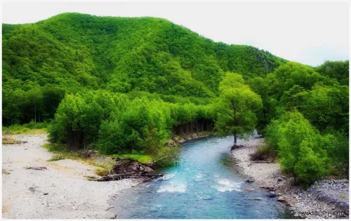 Туристическая компания Vlad Discovery Tour на Пограничной во Владивостоке