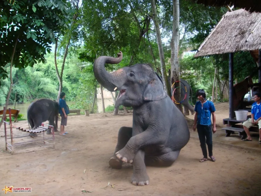Турагентство Путевки Трэвел в Нижнем Новгороде: Самолёт, Отпуск, Авиабилеты, Турагентство, Путешествие, Тур,