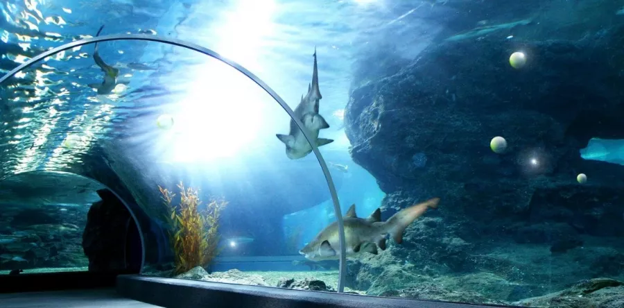 Турагентство Путевки Трэвел в Нижнем Новгороде: Самолёт, Отпуск, Авиабилеты, Турагентство, Путешествие, Тур,