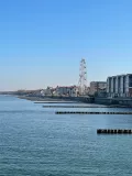 Миниатюра 10