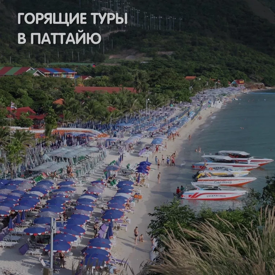 Туристическая компания ДВ Фрегат Аэро в Уссурийске: Турагентство, Турфирма, Турист, Туры, Туризм, Горящие туры, Чилим, Отпуск, Путешествие, Море, Travel, Travelling, Sea, Trip, Rest,