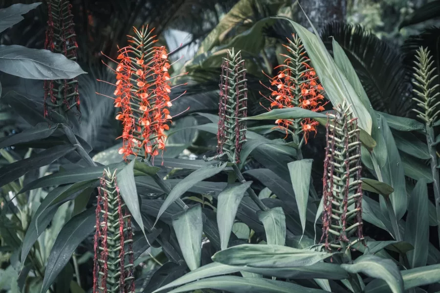 Туристическое агентство PEGAS touristik на Ленина в Астрахани: Турагентство, Туризм, Отпуск, Море, Путешествие, Тур,