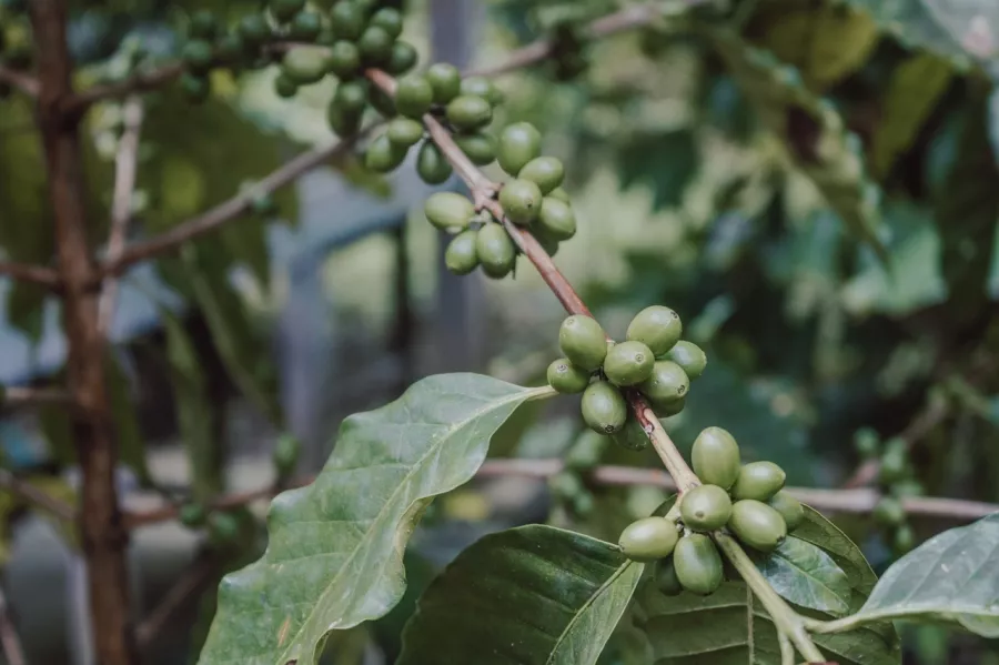 Туристическое агентство PEGAS touristik на Ленина в Астрахани: Турагентство, Туризм, Отпуск, Море, Путешествие, Тур,