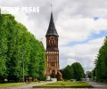Миниатюра 5