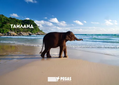 Туристическое агентство PEGAS touristik на 8 Марта  в  Екатеринбурге
