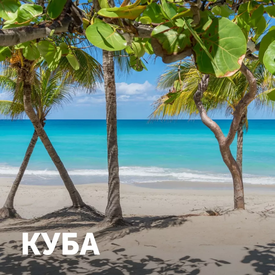 Турагентство Coral Travel на Шейнкмана в Екатеринбурге: Турагентство, Турфирма, Турист, Туры, Туризм, Горящие туры, Чилим, Отпуск, Путешествие, Море, Travel, Travelling, Sea, Trip, Rest,