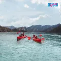 Миниатюра 12