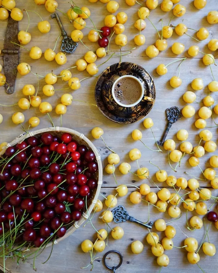 Турагентство Coral Travel на Октябрьской в Краснодаре: Тур, Путешествие, Турагентство, Туризм, Отпуск, Море,