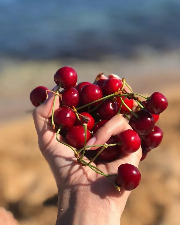 Турагентство Coral Travel на Октябрьской в Краснодаре: Тур, Путешествие, Турагентство, Туризм, Отпуск, Море,