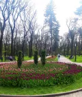 Миниатюра 9