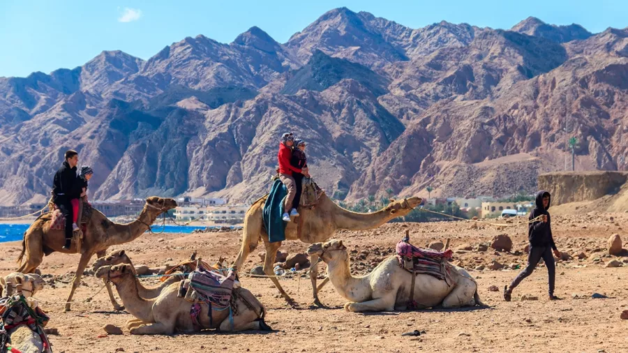 Турагентство 1001 тур в Анапе: Турагентство, Туризм, Отпуск, Море, Путешествие, Тур,