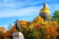 Миниатюра 10