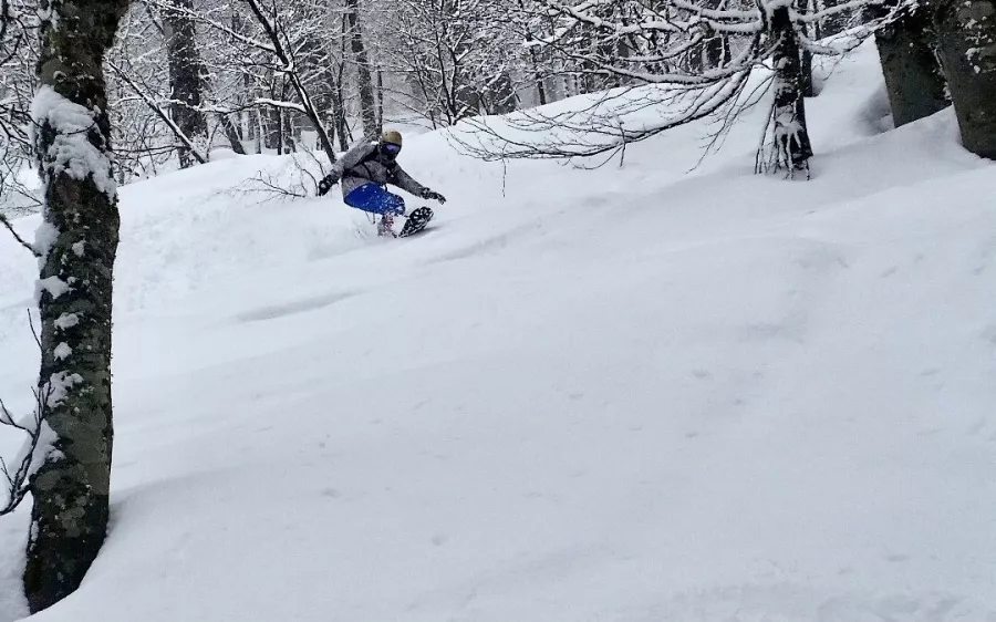 Туристический клуб Мастерская Приключений в Красной Поляне: Тур, Путешествие, Турагентство, Туризм, Отпуск, Море,