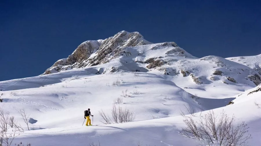 Туристический клуб Мастерская Приключений в Красной Поляне: Тур, Путешествие, Турагентство, Туризм, Отпуск, Море,