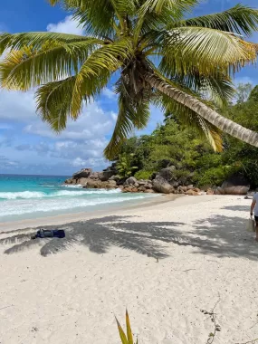 Туристическое агентство "Coral Travel" на Фурманной