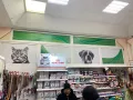 Миниатюра 12