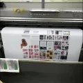 Миниатюра 6