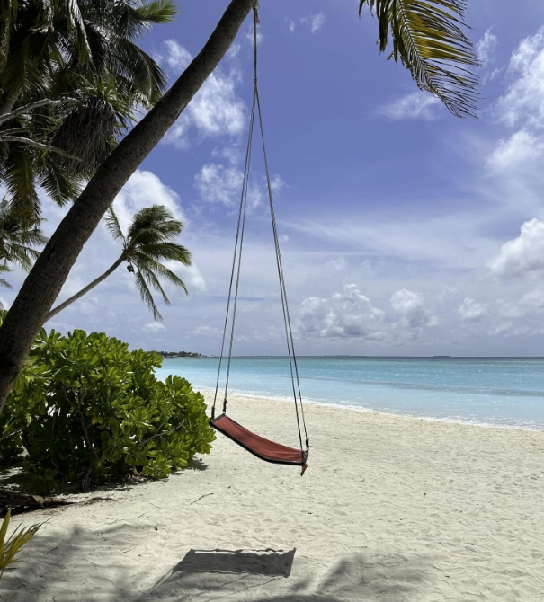 Турагентство Self Travel в Сочи: Trip, Travel, Путешествие, Турист, Чилим, Отпуск, Авиабилет, Перелёт, Tourists,
