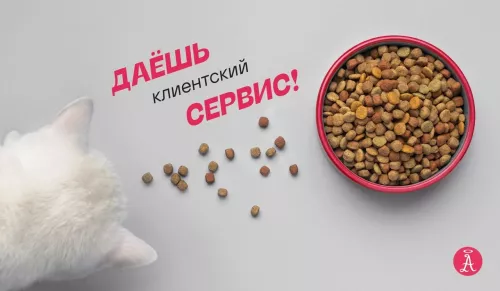 Рекламное агентство Адекватные люди  в  Санкт-Петербурге