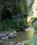Миниатюра 10