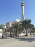 Миниатюра 6