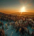 Миниатюра 11