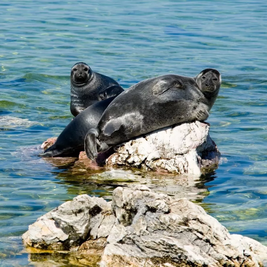 Турагентство Аляска-Тревел в Нижнем Новгороде: Самолёт, Отпуск, Турагентство, Путешествие, Тур,