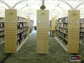 Миниатюра 11