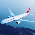 Миниатюра 9