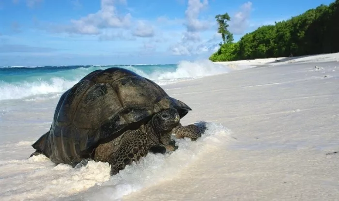 Турагентство 9/27
