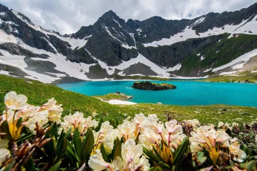 Турагентство Pegas touristik  в  Архангельске