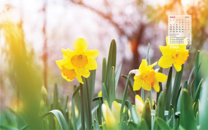 Типография "ЗНАК"