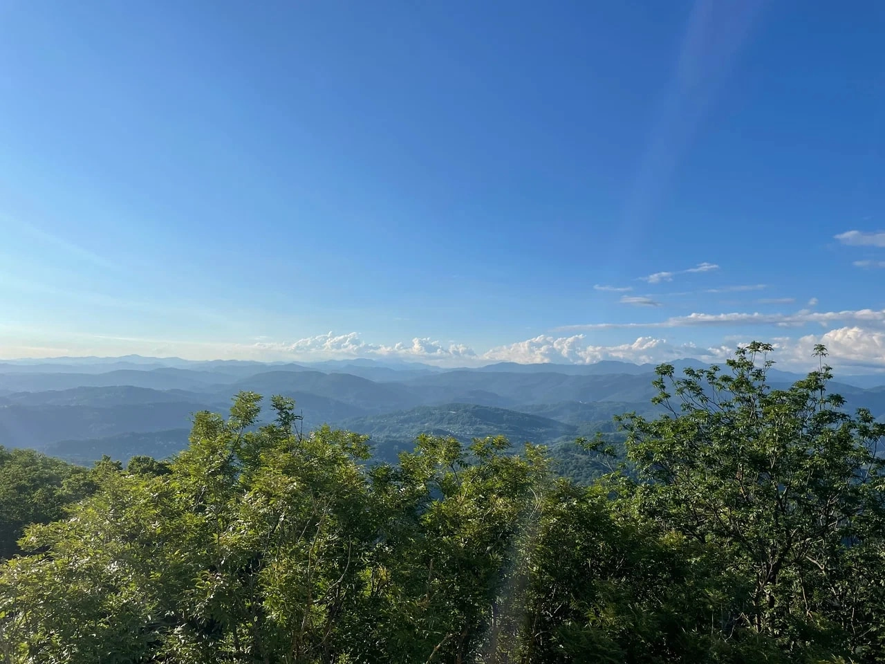 Большое фото 2