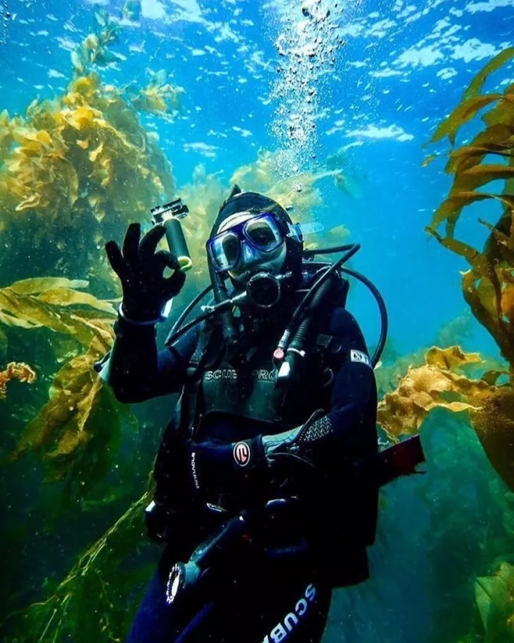 Экскурсионное бюро Это Сочи на Цветочной в Красной Поляне: Экскурсия, Отпуск, Гид, Красивый вид, Туризм, Путешествие, Виды, Тур,